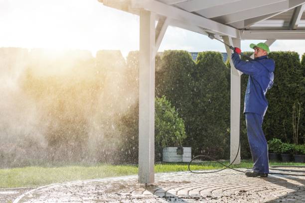 Best Pre-Holiday Cleaning  in Blackhawk, CA